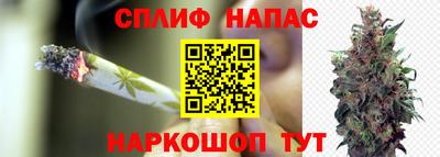 PSILOCYBIN Кулебаки