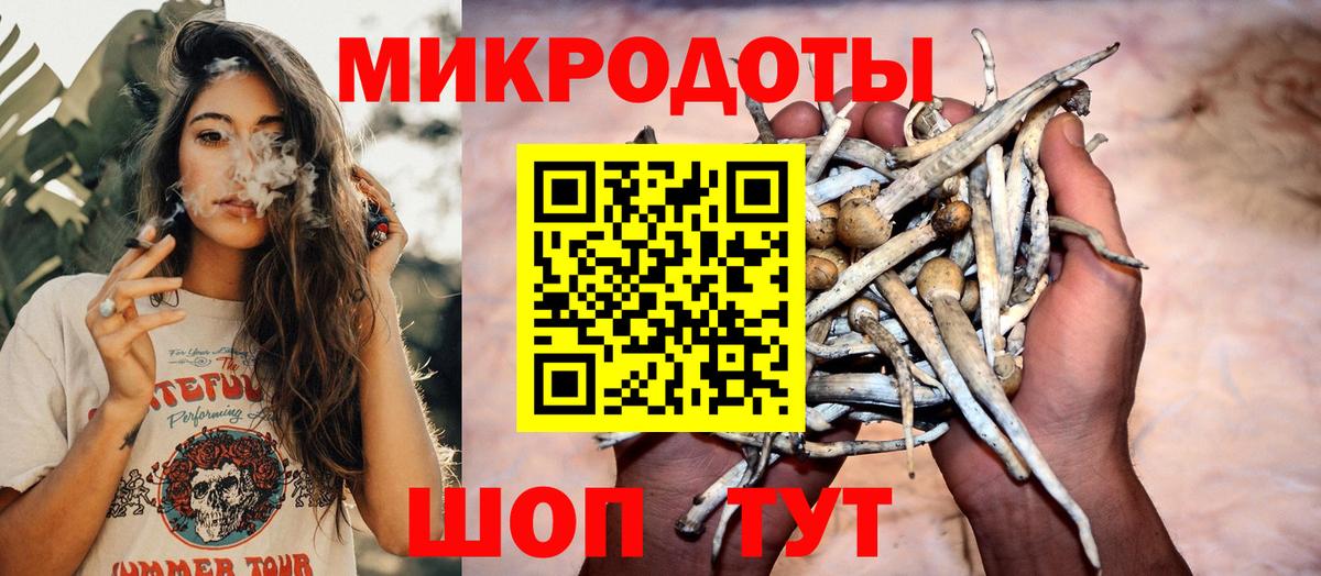 Галлюциногенные грибы прущие грибы Гулькевичи